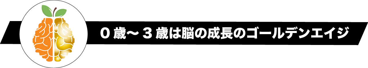 0歳〜3歳は脳の成長のゴールデンエイジ